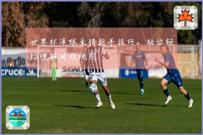 世界杯滚球竞猜新手技巧，助你轻松理解游戏规则
