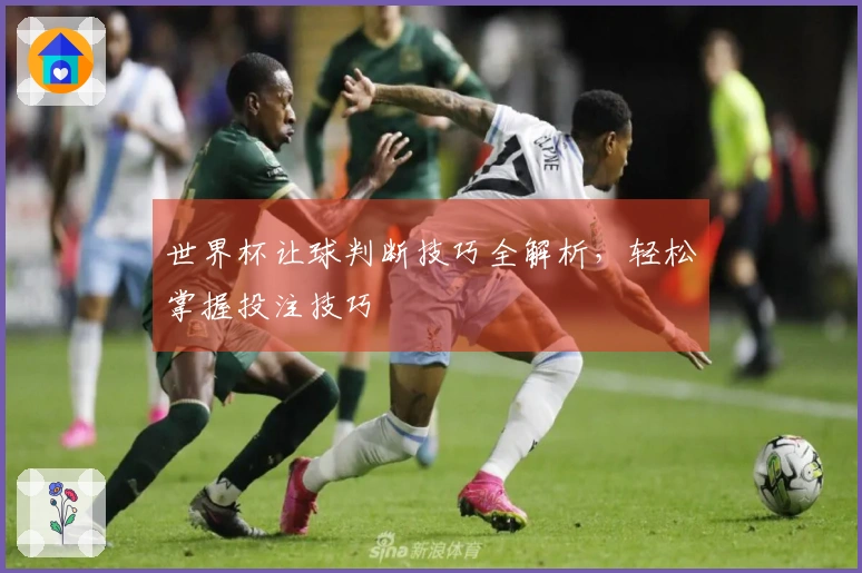 世界杯让球判断技巧全解析，轻松掌握投注技巧