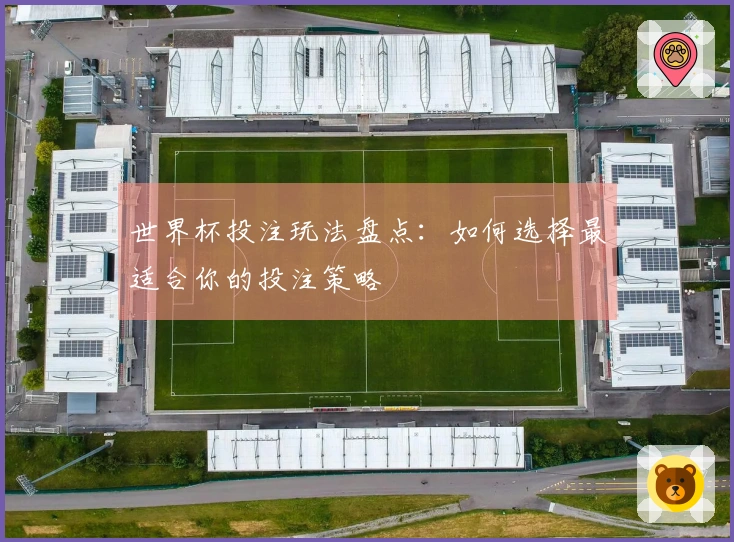 世界杯投注玩法盘点：如何选择最适合你的投注策略