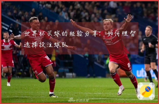 世界杯买球的经验分享：如何理智选择投注球队