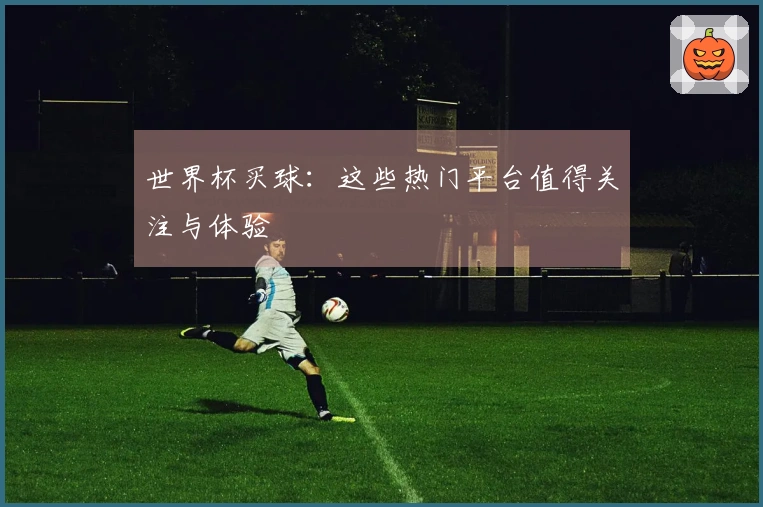 世界杯买球：这些热门平台值得关注与体验