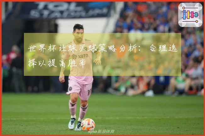 世界杯让球买球策略分析：合理选择以提高胜率