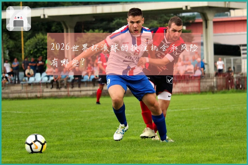 2026世界杯滚球的投注机会和风险有哪些？