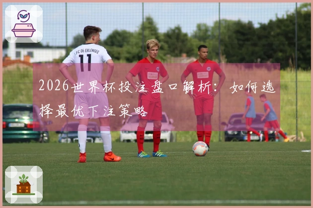 2026世界杯投注盘口解析：如何选择最优下注策略